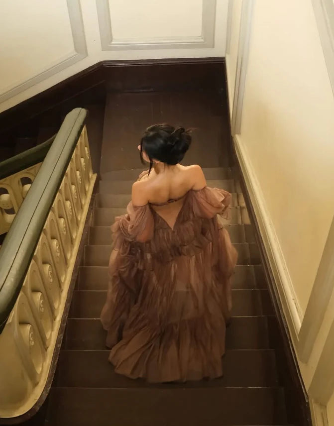 Elegant Brown Long Sleeve A-Line Long Prom Dress Ideas, Evening Party Dresses, WGP2024